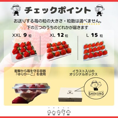 新品即納】[DOL]ピコえっくす☆きゅーと こもれび森のちいさな