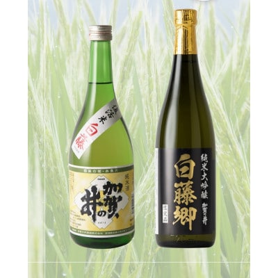 幻の米「白藤」で醸したお酒飲みくらべセット　720ml×2本