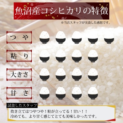 【令和7年産】魚沼産コシヒカリ 新米 無洗米 一等米 2kg 天糧