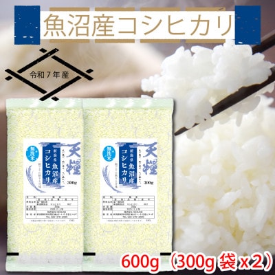【令和7年産】魚沼産コシヒカリ 新米 無洗米 一等米 600g(300g×2) 天糧