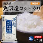 【毎月定期便】魚沼産コシヒカリ 無洗米(精米) 一等米 5kg 天糧全6回