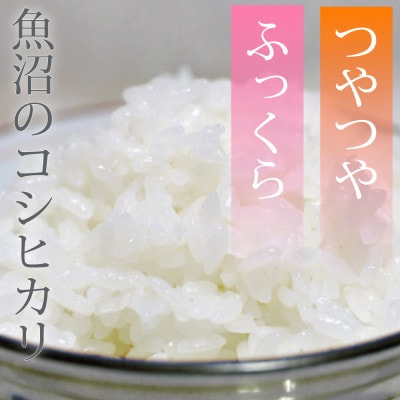 【毎月定期便】魚沼産コシヒカリ 無洗米(精米) 一等米 5kg 天糧全6回