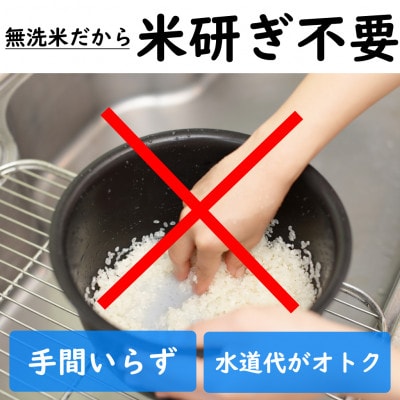 【毎月定期便】魚沼産コシヒカリ 無洗米(精米) 一等米 5kg 天糧全6回