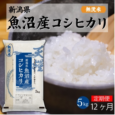 【毎月定期便】魚沼産コシヒカリ 無洗米(精米) 一等米 5kg 天糧全12回