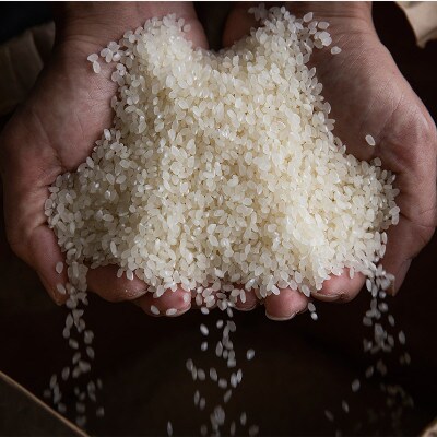 【令和 7 年産】栽培期間中農薬5割減栽培　南魚沼産コシヒカリ「こまがた家のお米」10kg