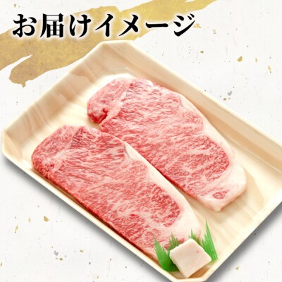 飛騨牛 サーロインステーキ 400g 200g×2枚 養老ミート