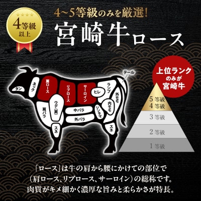 宮崎牛ローススライス(計800g) 肉 牛 牛肉 国産_T050-006