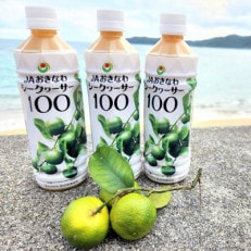 【果汁100%】シークヮーサー100(500ml&times;3本)