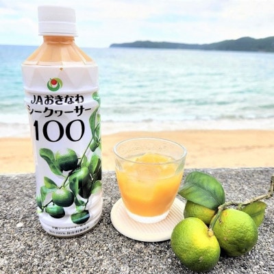 【果汁100%】シークヮーサー100(500ml×3本)