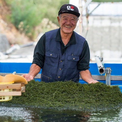 海ぶどう茎付き(ぽん酢&ドレッシング2本付き)200g×5パック