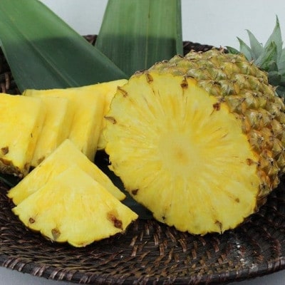高級ゴールドバレル パイナップル2～3玉【2026年6月下旬から順次発送予定】