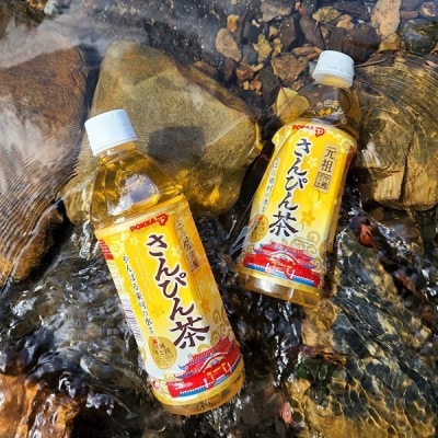 元祖 沖縄ポッカのさんぴん茶(500ml×24本)1ケース