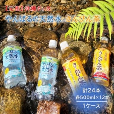 【東村の軟水】やんばるの天然水&amp;ポッカのさんぴん茶 計24本(500ml&times;各12本)1ケース