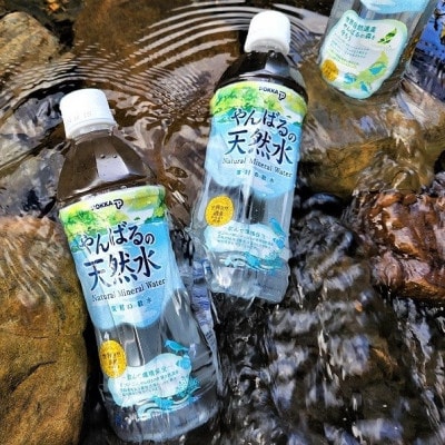 【東村の軟水】やんばるの天然水&ポッカのさんぴん茶 計24本(500ml×各12本)1ケース