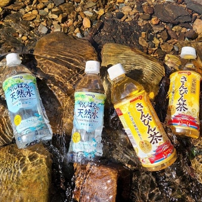 【東村の軟水】やんばるの天然水&ポッカのさんぴん茶 計24本(500ml×各12本)1ケース