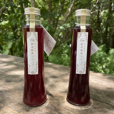 【緑豊かな大地から生まれた】やんばる野草酵素シロップ2本セット