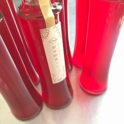 【緑豊かな大地から生まれた】やんばる野草酵素シロップ2本セット