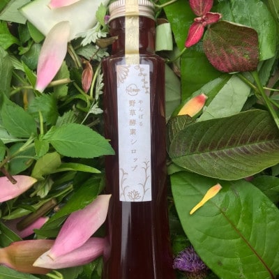 【緑豊かな大地から生まれた】やんばる野草酵素シロップ2本セット