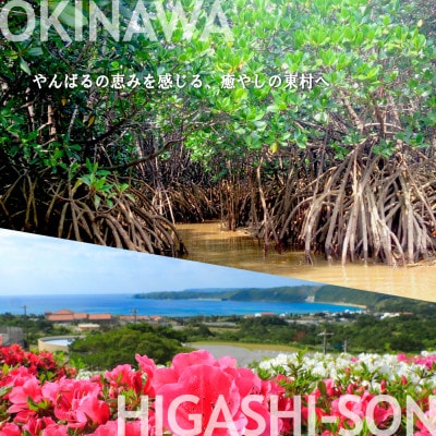 【沖縄ツアー】 やんばる花のさと東村 後から選べる旅行Webカタログ旅行クーポン(60,000円分)
