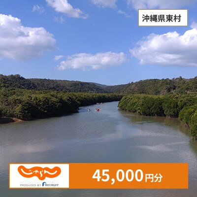 【じゃらんふるさと納税クーポン】 沖縄県東村でつかえる45,000円 クーポン