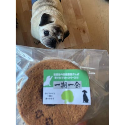 無為自然　一期一会・S(米粉シフォンケーキとスペシャルティコーヒーセット)【世田谷みやげ】