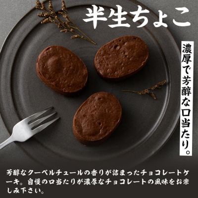 ふんわりかるーいチョコレートケーキ♪　半生ちょこ20個 小分けなので便利♪