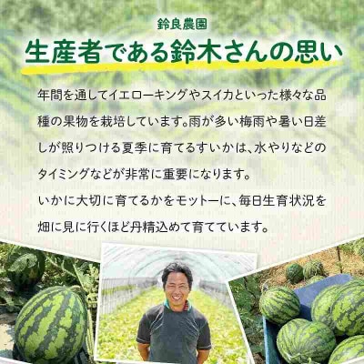 【2025年発送】「羅皇ザスウィート」すいか 1玉 H141-015