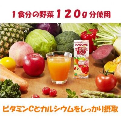 【毎月定期便】カゴメ 野菜生活アップルサラダ 200ml×24本入全2回