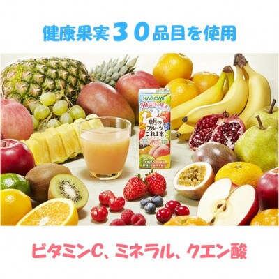 【毎月定期便】カゴメ 朝のフルーツこれ一本 200ml×24本入全11回
