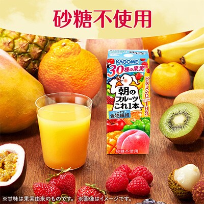 【毎月定期便】カゴメ 朝のフルーツこれ一本 200ml×48本入 全7回