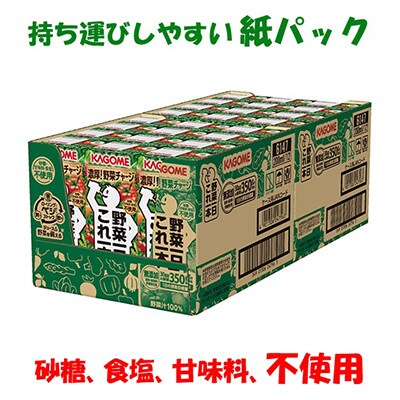 2024年1月発送開始『定期便』カゴメ 野菜野菜一日これ一本 200ml×24本入 全9回