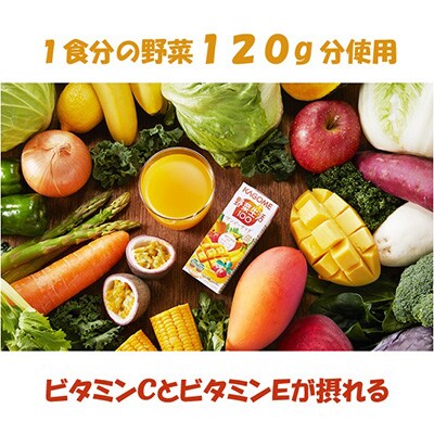 2024年1月発送開始『定期便』カゴメ 野菜生活マンゴーサラダ 200ml×24本入 全6回