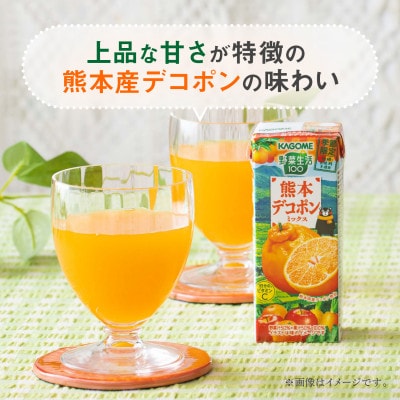 カゴメ 野菜生活100 熊本デコポンミックス 195ml 紙パック 24本入