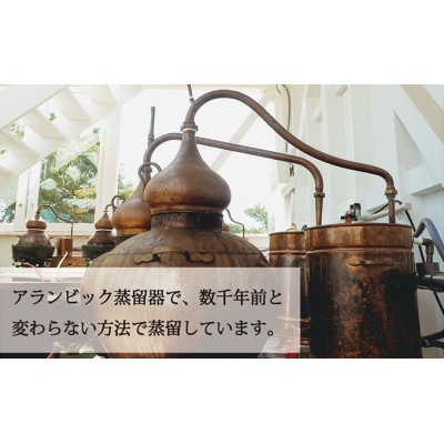 ノンアルコールジン・ネマ 0.00% 4種 飲み比べセット 500ml×4本