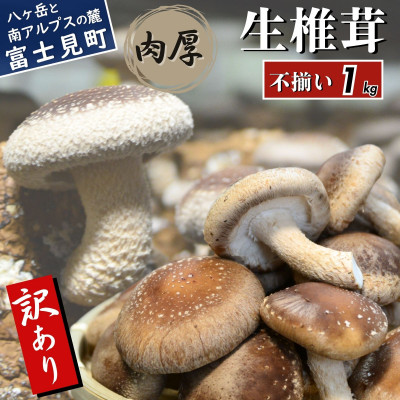 訳あり生椎茸　1kg　長野県産