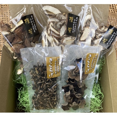 乾しきのこセット(しいたけ・きくらげ)