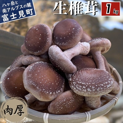 生しいたけ 1kg　長野県産