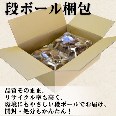 生しいたけ 1kg　長野県産