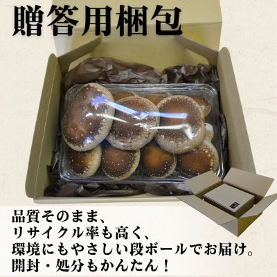 大粒生しいたけ 11粒