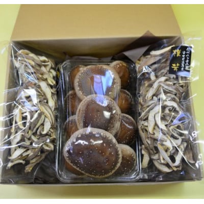 大粒 生しいたけ11粒と乾ししいたけスライスセット