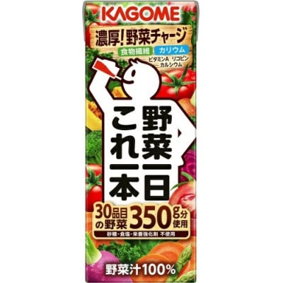 【毎月定期便】カゴメ 野菜一日これ一本 200ml 紙パック 24本入全3回