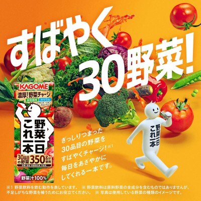 【毎月定期便】カゴメ 野菜一日これ一本 200ml 紙パック 24本入全3回