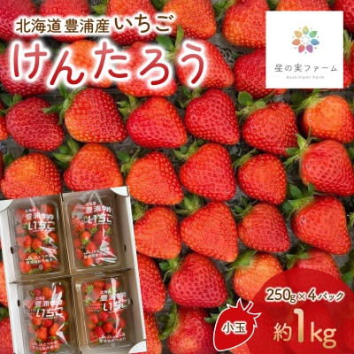 【先行受付】北海道 豊浦 いちご 小玉 けんたろう 250g×4パック1箱 約1kg TYUW001