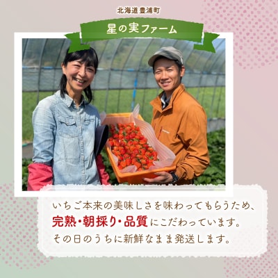 【先行受付】北海道 豊浦 いちご 小玉 けんたろう 250g×4パック1箱 約1kg TYUW001