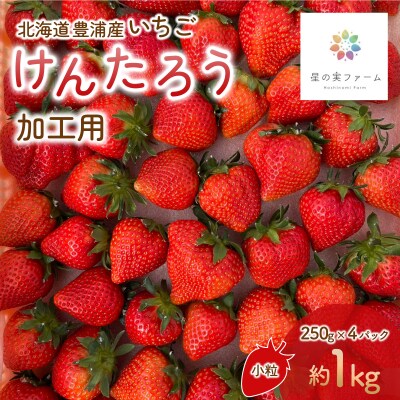 ※先行受付 北海道豊浦 いちご加工用 小粒けんたろう250g×4パック1箱 約1kg TYUW003