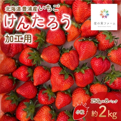※先行受付 北海道豊浦 いちご 加工用 小粒けんたろう 250g×8パック 約2kg TYUW004