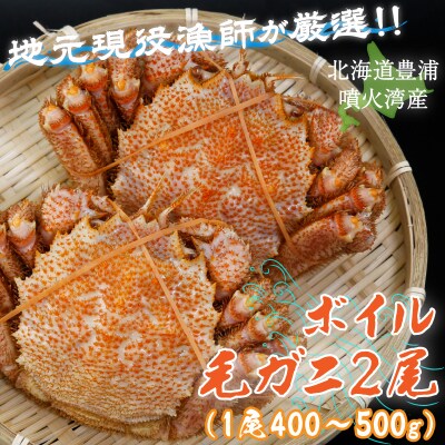 【先行受付】【地元現役漁師が厳選!!】ボイル・毛ガニ2尾(1尾400～500g) TYUR007