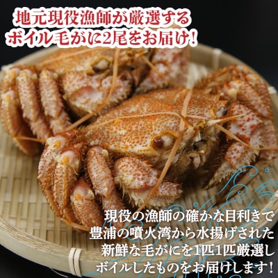 【先行受付】【地元現役漁師が厳選!!】ボイル・毛ガニ2尾(1尾400～500g) TYUR007
