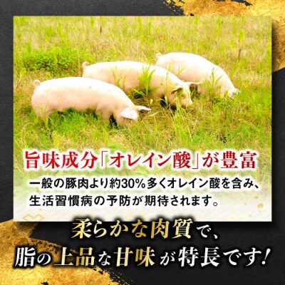 一貴山豚 精肉バラエティセット 計1980g 糸島市/いきさん牧場 豚肉 [AGB065]