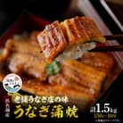 【産地直送】浜名湖産うなぎ 約蒲焼150g×10尾[かわべのうなぎ]